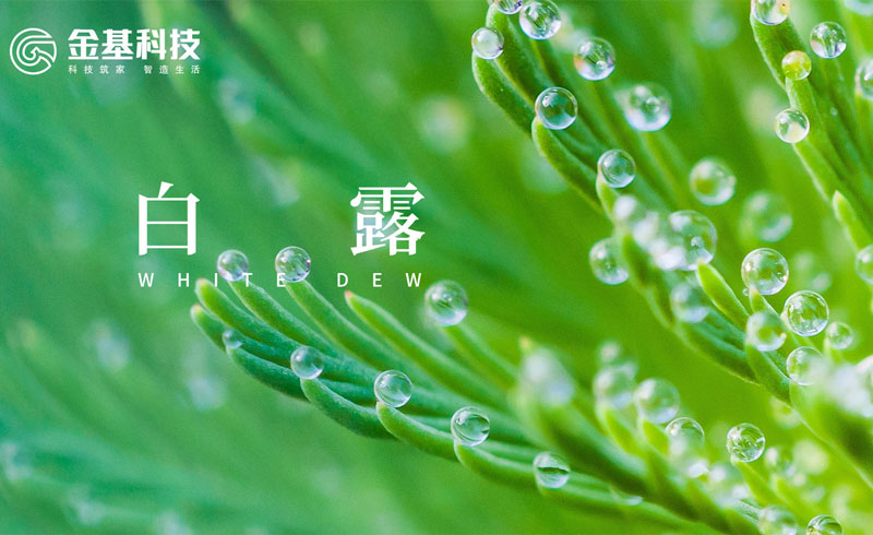 白露至 | 秋凉模式开启，家的温度如一