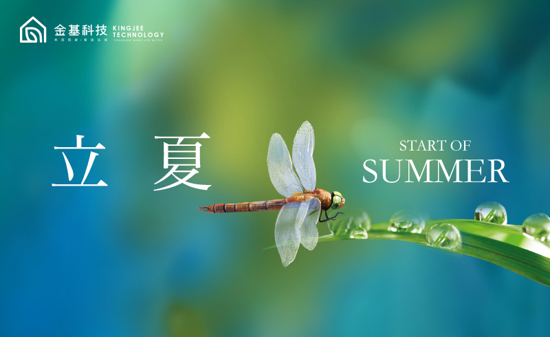 立夏已至，万物可期