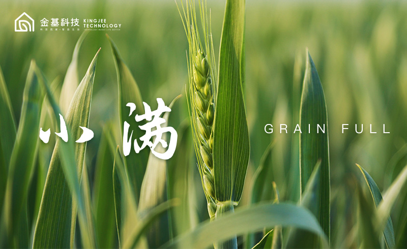 小满时节 | 生活的满足，是居家的怡然自得