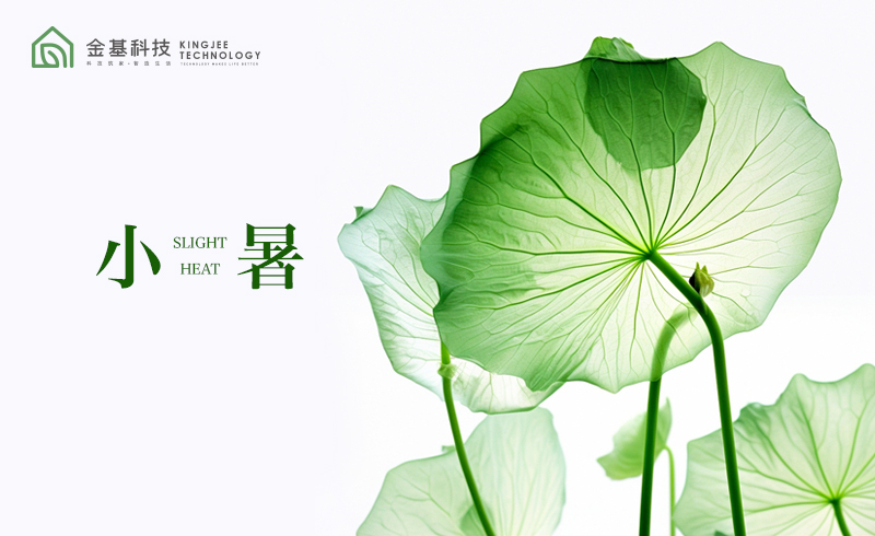 小暑“蒸”来了！金基科技自有“凉”方